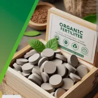 تا قبل عید بارتو ببند