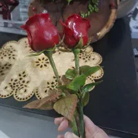 گل چینی ولی نشکن|گل مصنوعی|فردیس, سرحد آباد|دیوار