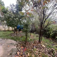 زمین ۳۰۰ متری فروشی عباس آباد