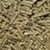 تفاله فشنگی چغندر