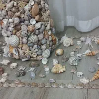 صدف های خوشگل،جهت تزئین|مجسمه، تندیس، ماکت|تبریز, |دیوار