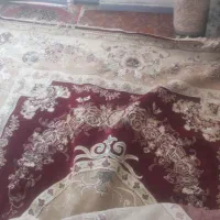 قالی زیبا و تمیز|فرش|اهواز, چهارصد دستگاه|دیوار