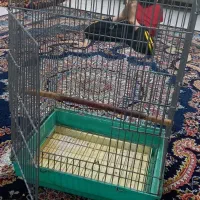 قفس بزرگ زخیم طوطی مینا برزیلی انواع پرندگان|لوازم جانبی حیوانات|هشتگرد, شهرک بوستان|دیوار
