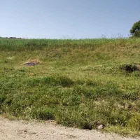 نیرو در کارگاه مواد غذایی