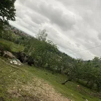 فروش زمین ۲۲۰ متری ویرمونی|فروش زمین و ملک کلنگی|آستارا, |دیوار