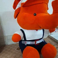 اسباب بازی فیل|اسباببازی|بروجرد, |دیوار