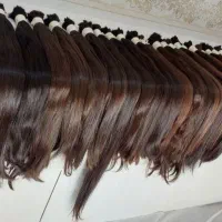 خرید موی طبیعی زیبایی سما ( سلاطین )