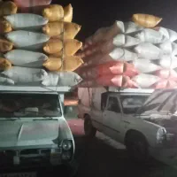 فروش کاه لوبیا چیتی به صورت فله ای وآماده