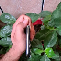 اپل iPhone 11 Pro Max با حافظهٔ ۲۵۶ گیگابایت|موبایل|گرگان, |دیوار