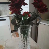 گلدان بوهمیا