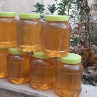 عسل|خوردنی و آشامیدنی|مشهد, الهیه|دیوار