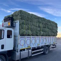 یونجه درجه یک اعلا انباری