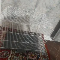 قفس|لوازم جانبی حیوانات|مشهد, شهرک شهید باهنر|دیوار