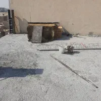 کبوتر ساختمون