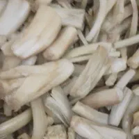 کنگر  نیمه آماده