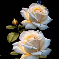 فروش سیم کارت 09158958673