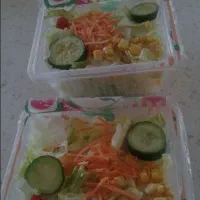 سالاد شرکتی