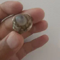 فروش انگشتر نفیس عقیق|جواهرات|بابلسر, |دیوار