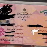 پیدا شده