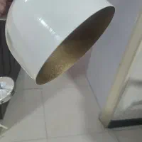 لوستر