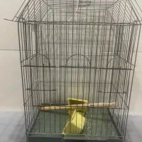 قفس عروس هلندی