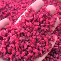 زرشک قاینات