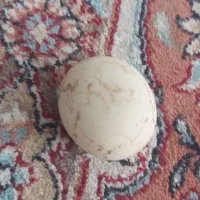 سنگ‌آسیاب قدیمی