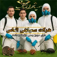 سمپاشی موش ساس سوسک بامجوز وضمانت کتبی کل مناطق|خدمات نظافت|تهران, تهرانسر مرکزی|دیوار