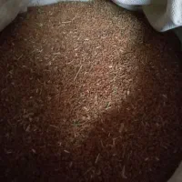 بذریونجه بغدادی