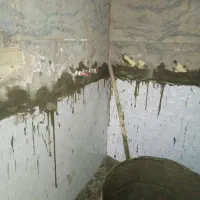 کاشیکاری کاشی کاری کاشیکار کاشی کار|خدمات پیشه و مهارت|پردیس, فاز ۸|دیوار