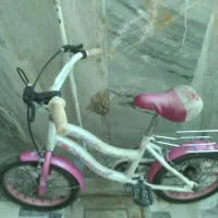 دوچرخه ۱۶ در حد