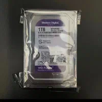 هارد وسترن بنفش