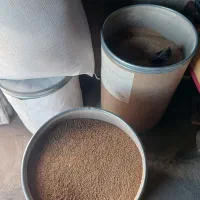 دان استاتر جوجه