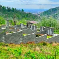 زمین-جنگلی-کوهپایه200مترسندتکبرگ-شش-دانگ-قابل-ساخت