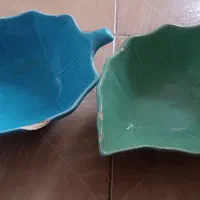 سینی ومرغ خوری