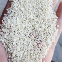 برنج سرلاشه عطری صدری هاشمی (خالص وتمیز) (کالابرگ)