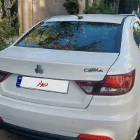 شاهین بسیار کم کارو تمیز