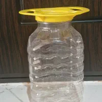 دبه ترشی