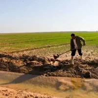 کارگر اتباع
