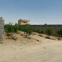 فروش زمین باغی ۴۶۰ متر میدان کشاورز قهجاورستان