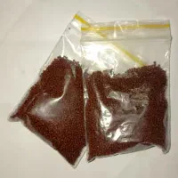 غذای ماهی زینتی