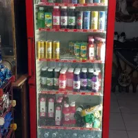 یخچال هم کوکا دارم هم پپسی