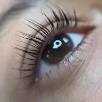 رنگ و مش،احیا و صافی مو،موخوره گیری،لیفت ابرو