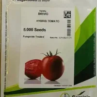 بذر های معتبر سیمینس