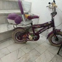 درحد نوع