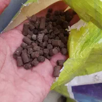 گندم و ذرت تپل میخوای  خاک. و تغذیه کن