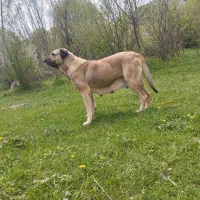 ماده سرابی  ب علت جا ب جای
