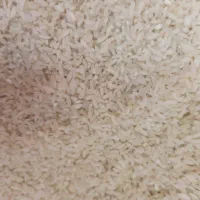 برنج محلی صحنه ۲۹۰ مقطوع