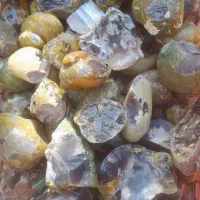 فروش انواع شجرهای بهاره و پاییزه و انواع عقیق|بدلیجات|فردوس (خراسان), |دیوار