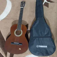 گیتار دیاموند / Diamond